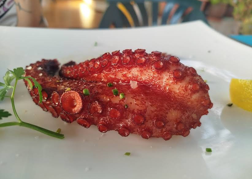 PULPO GUISADO O FRITO