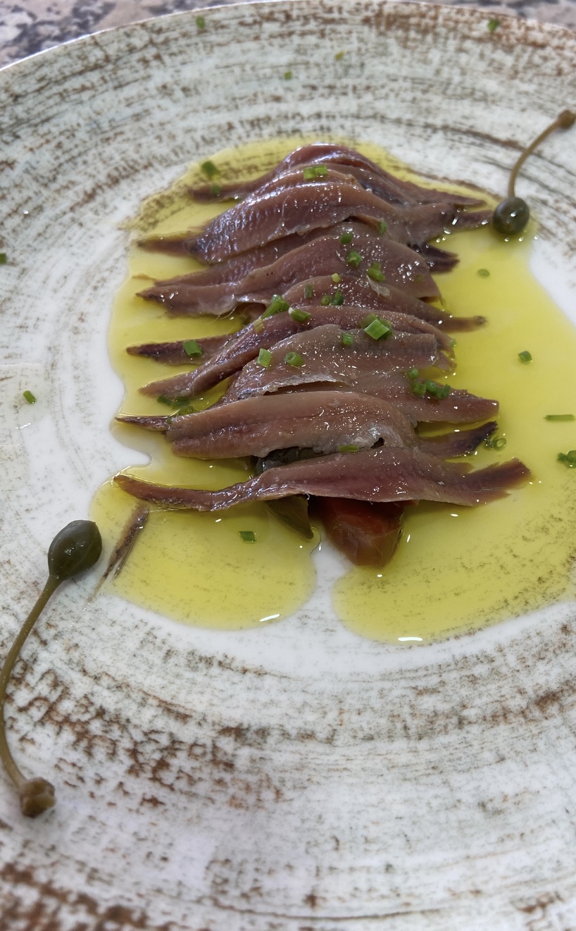 ANCHOAS DEL CANTÁBRICO